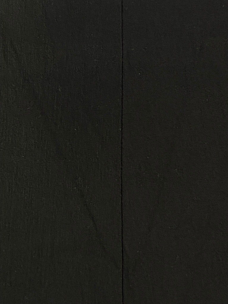 PANTALÓN NEGRO SIN BOLSAS