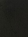 PANTALÓN NEGRO SIN BOLSAS